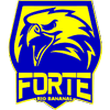 Forte Rio Bananal S20