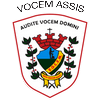 Vocem S20