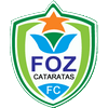 Foz Cataratas (F)