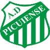 Picuiense